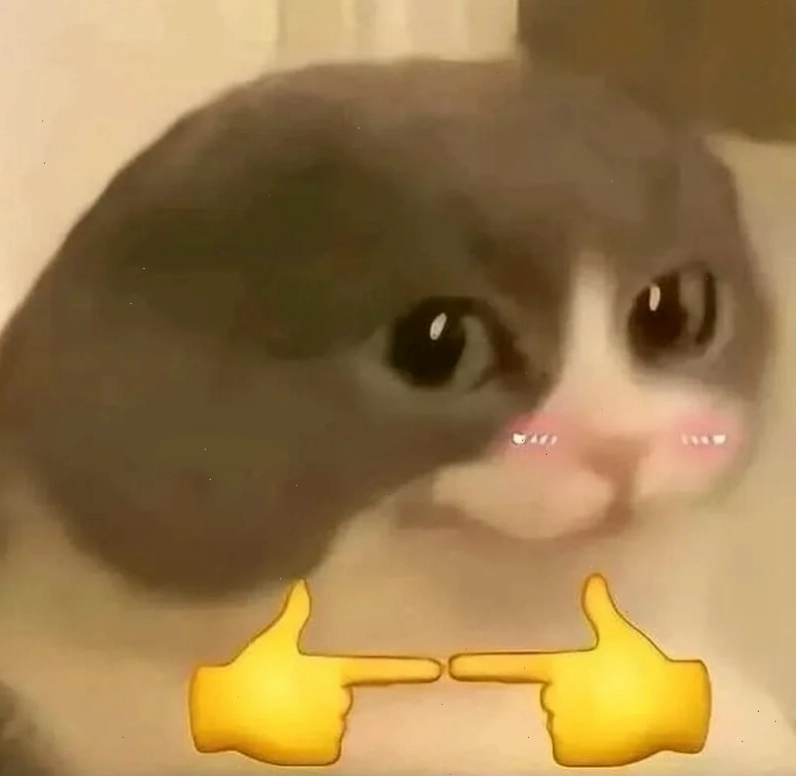 ảnh meme ngại dễ thương
