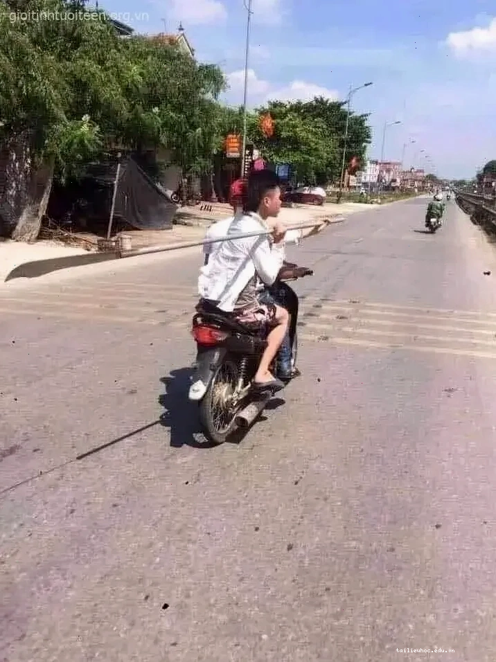 Gây cười mạnh ảnh meme phóng lợn gây cười