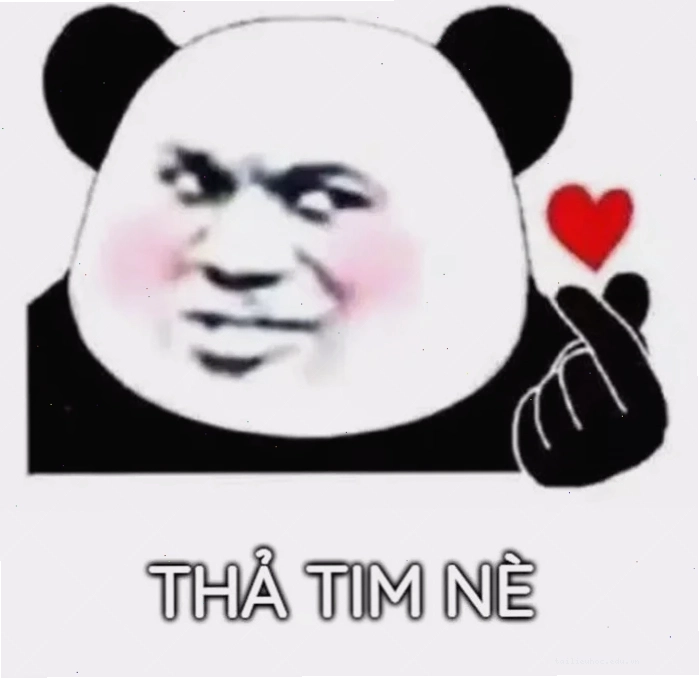 ảnh meme thả tim chú mèo