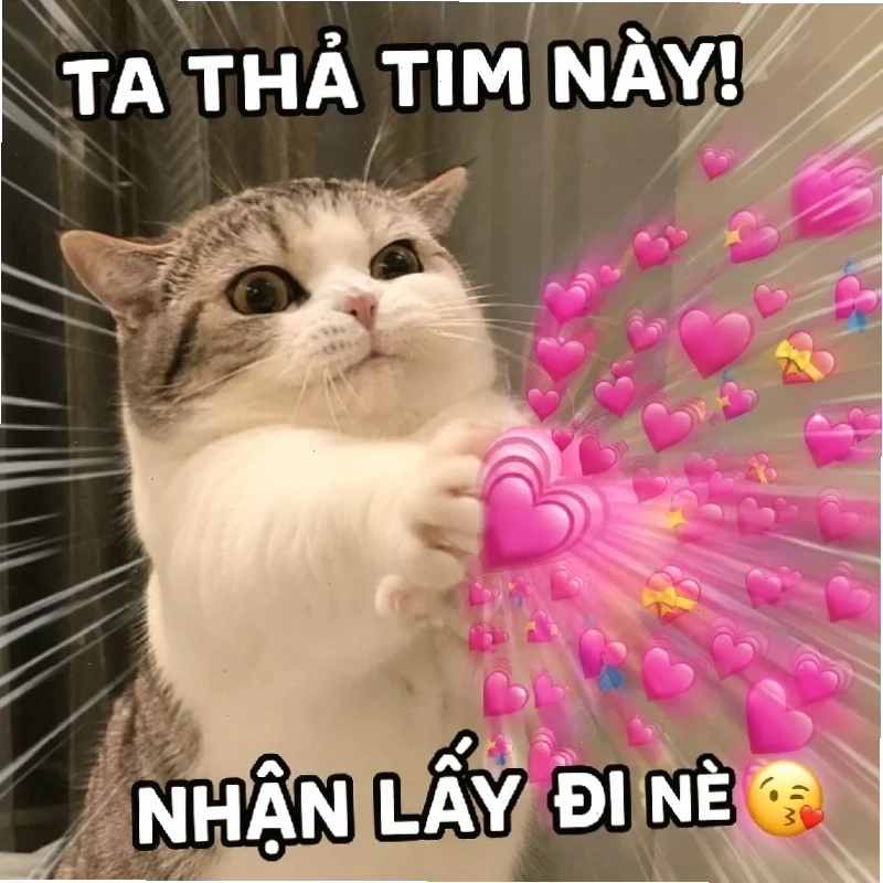 ảnh meme thả tim lãng mạn