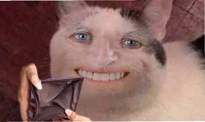 meme thú cưng ảnh meme thú cưng