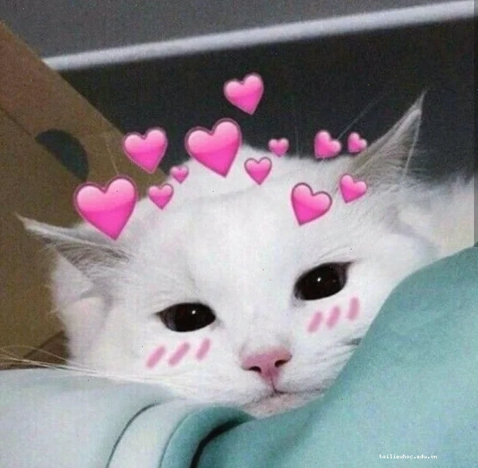 chú chó cute ảnh meme trái tim chó