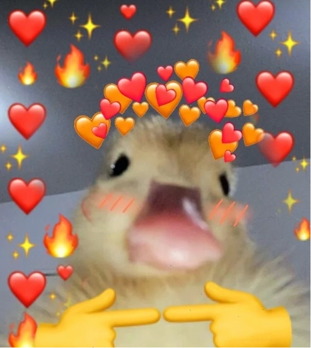 bé gấu cute ảnh meme trái tim cute