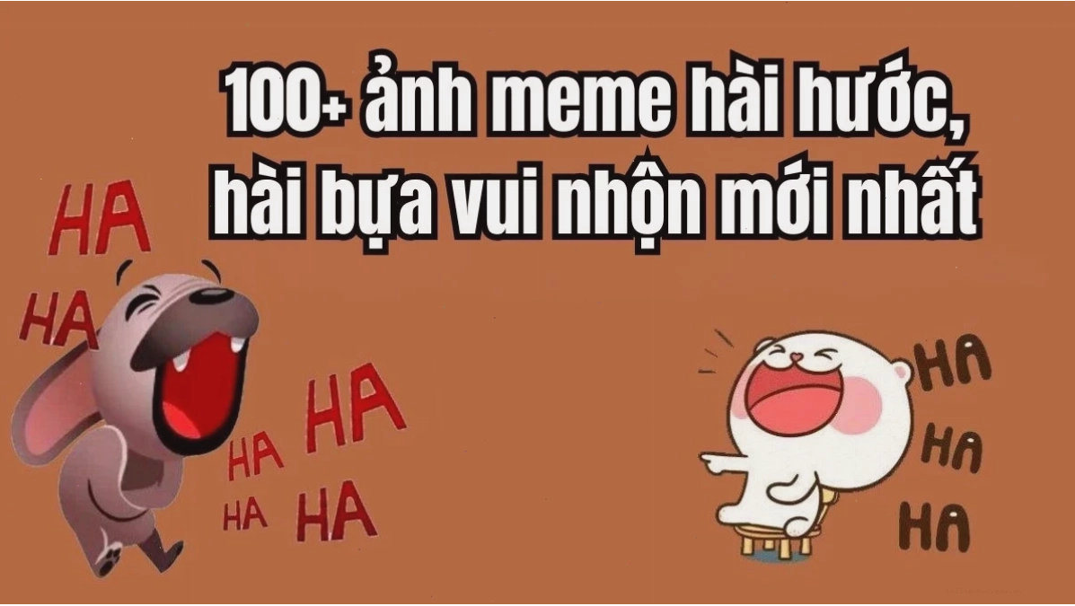 meme chó hài ảnh meme vui chó cười