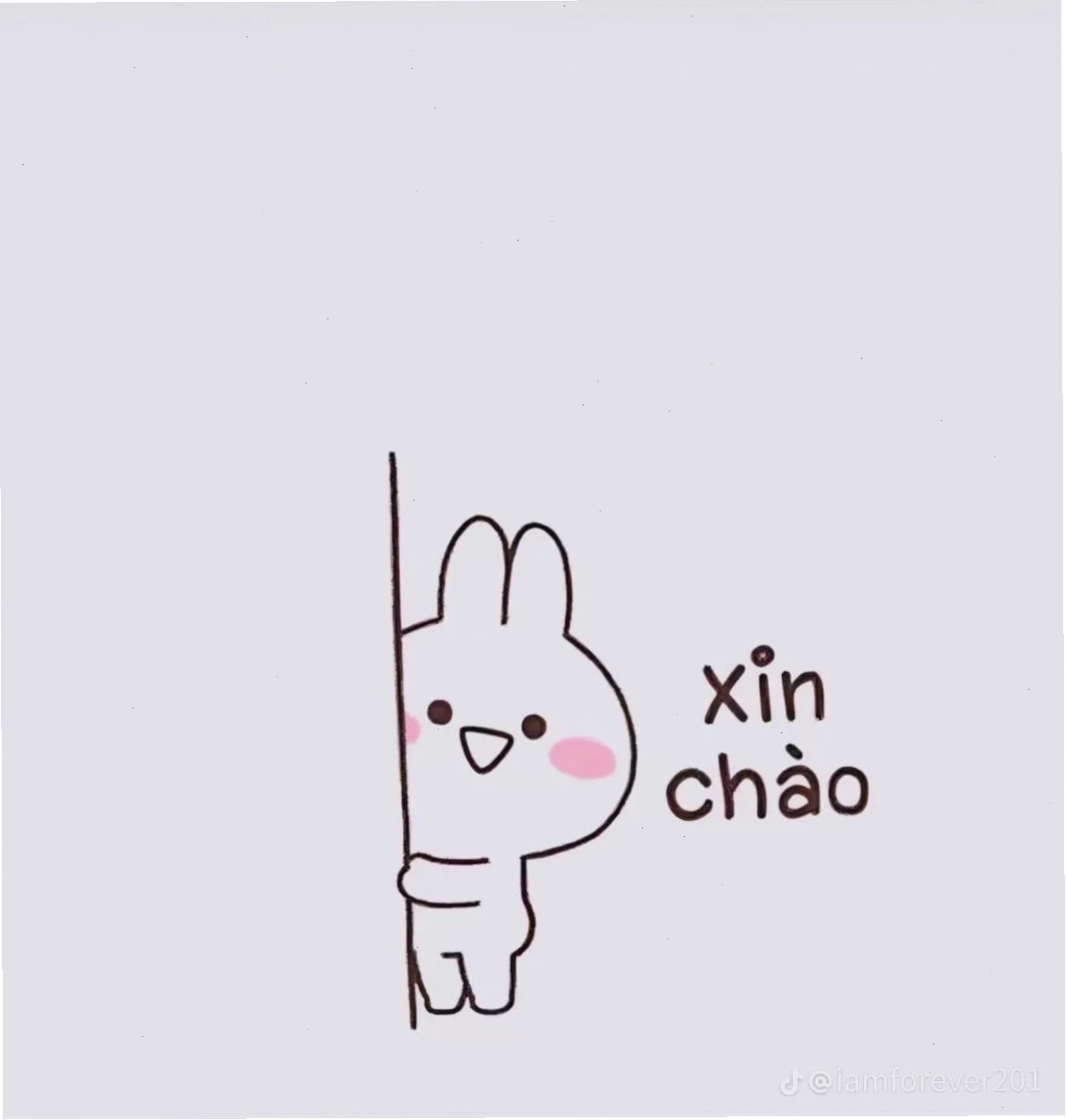 meme chó dễ thương ảnh meme vui chó cute