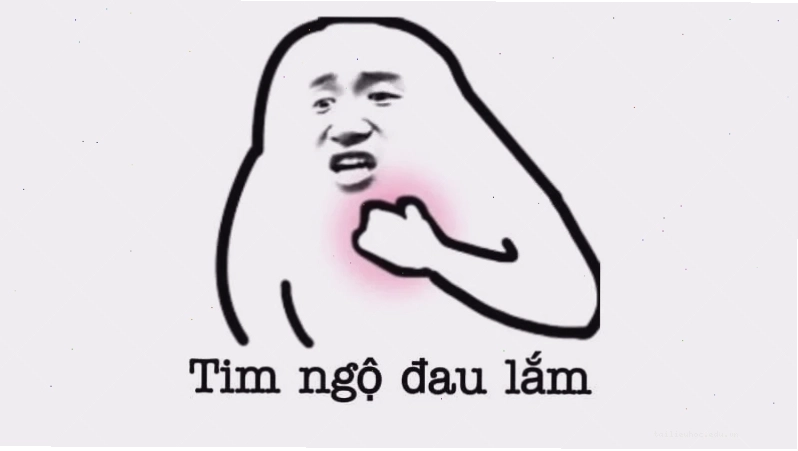 meme cún ảnh meme vui chó nghịch