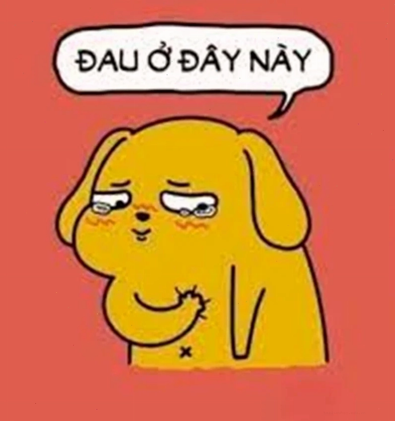 meme gấu trúc bựa ảnh meme vui gấu trúc