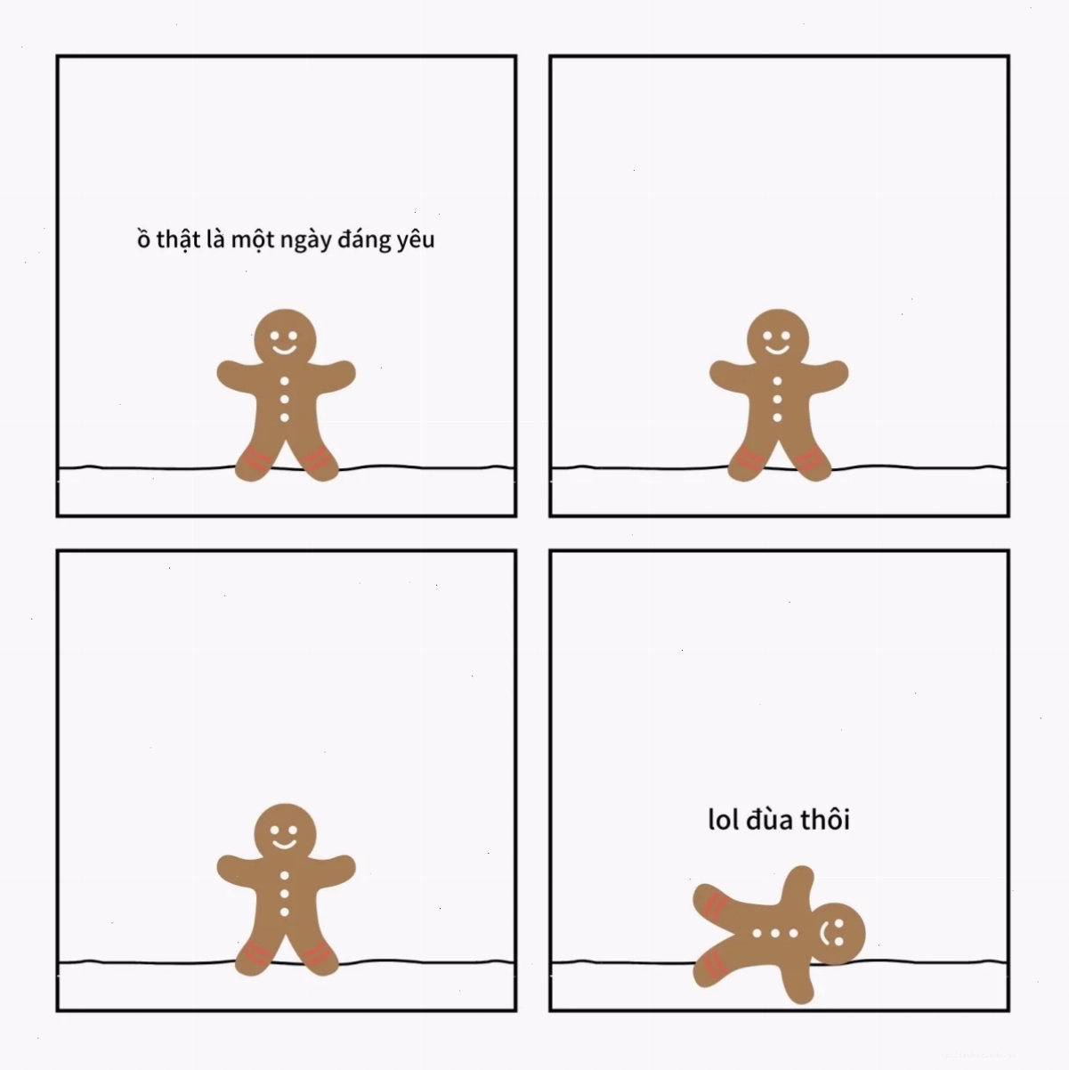 meme mèo ảnh meme vui mèo cười