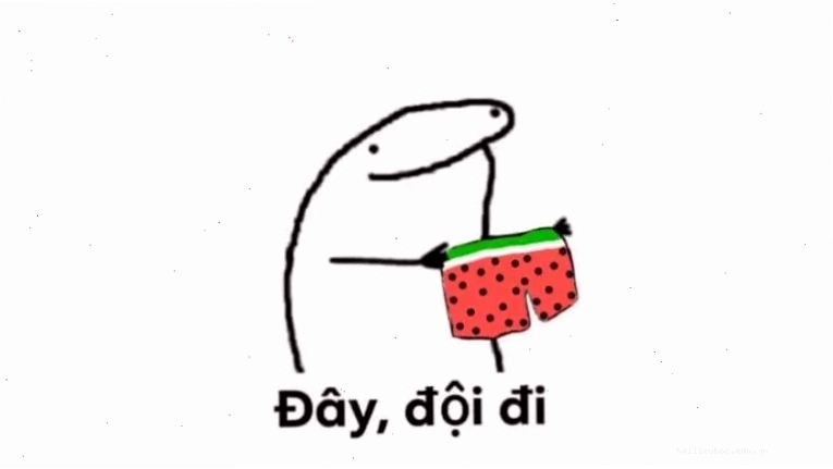 meme mèo lầy ảnh meme vui mèo nằm