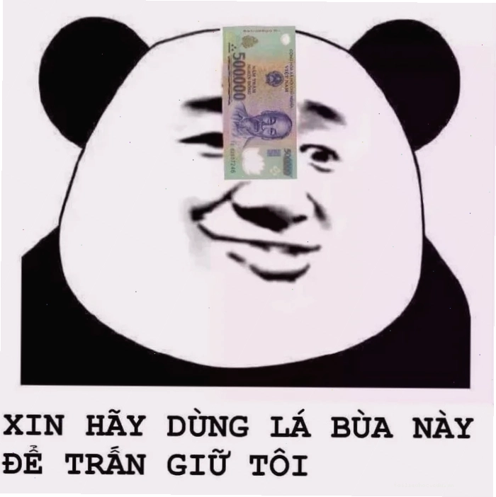meme mèo bựa ảnh meme vui mèo nhây