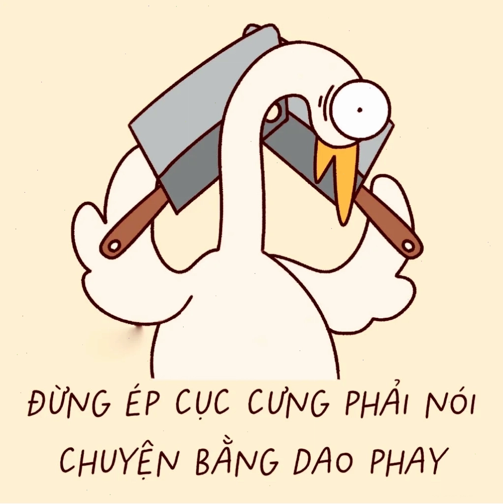 meme gấu trúc ảnh meme vui về gấu trúc