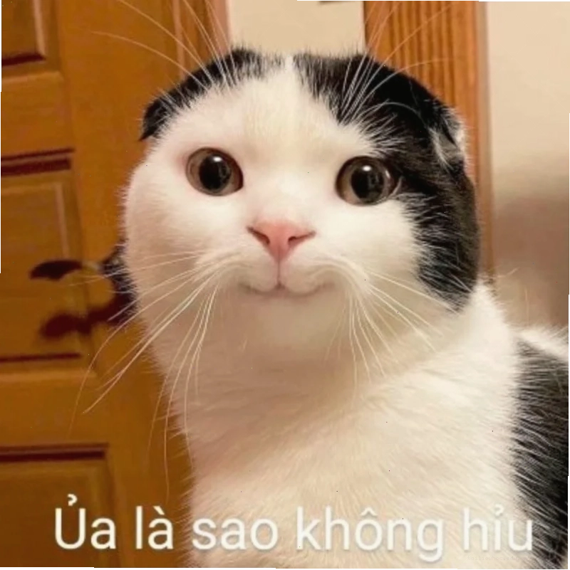 meme học đường ảnh meme vui về học sinh