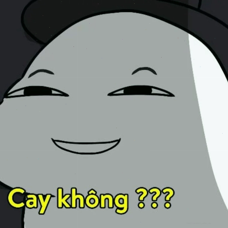 meme mèo hài ảnh meme vui về mèo