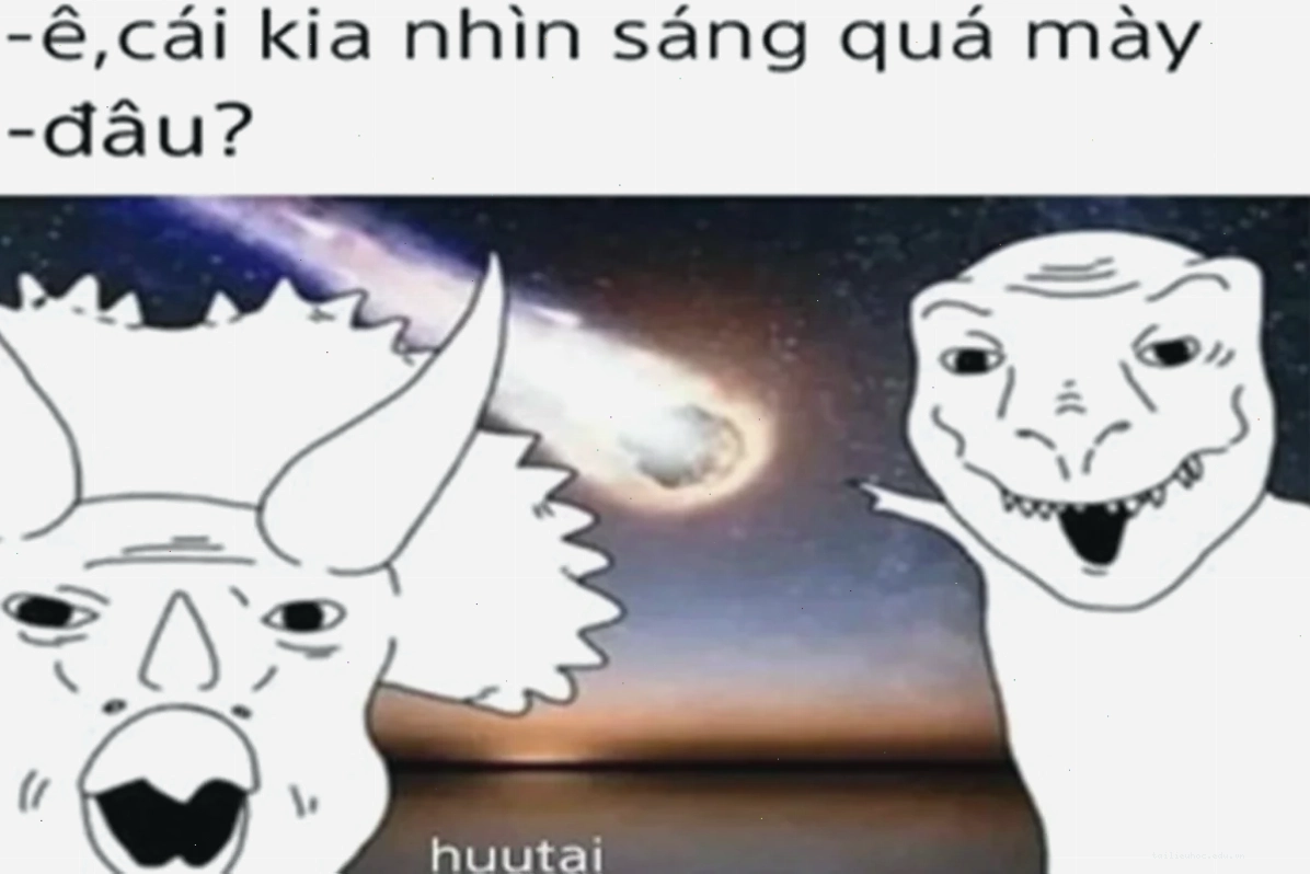 mèo meme chất ảnh mèo dark meme độc
