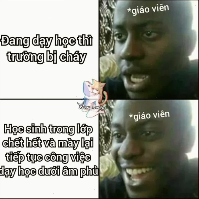 mèo meme ảnh mèo dark meme vui