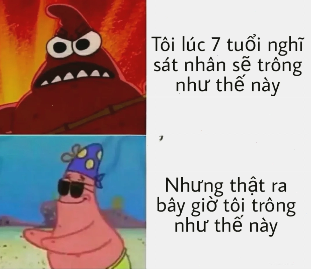 mèo meme dark ảnh mèo dark meme vui nhộn