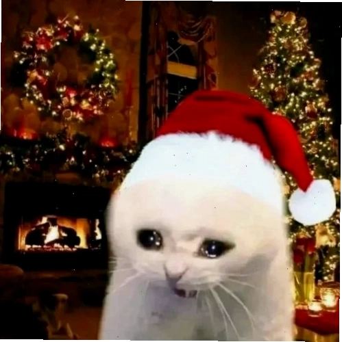 ảnh mèo giáng sinh vô tri meme ảnh mèo giáng sinh vô tri meme đáng yêu