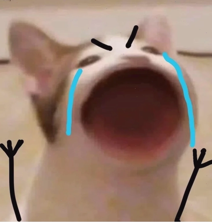 Mèo khóc ôm gối ảnh mèo khóc meme ôm gối