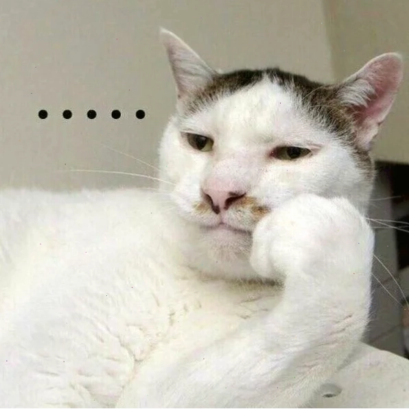 mèo ngẩn ngơ ảnh mèo suy nghĩ meme cute