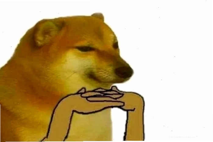 mèo suy tư ảnh mèo suy nghĩ meme đang nhìn xa xăm