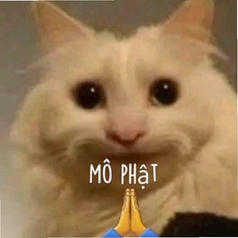 Ảnh nam mô a di đà phật meme