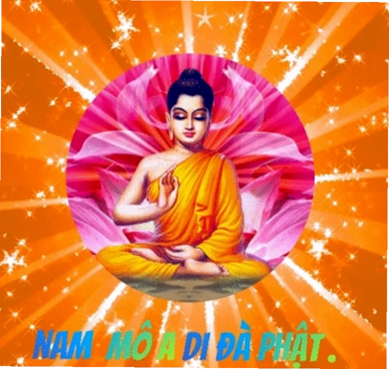 Ảnh nam mô a di đà phật meme