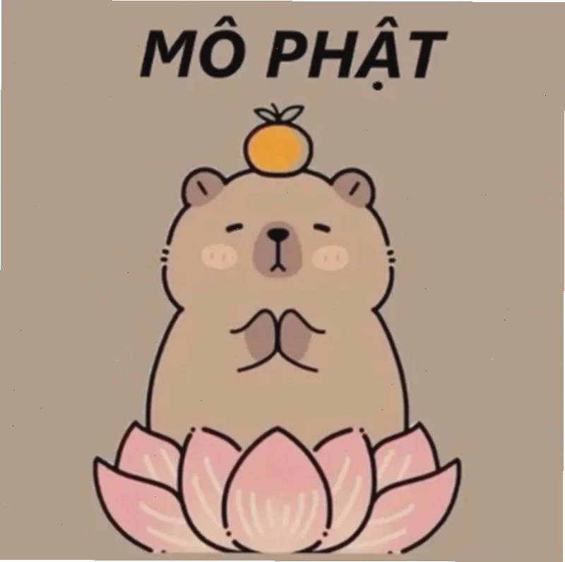Ảnh nam mô a di đà phật meme