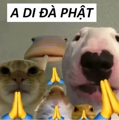 Ảnh nam mô a di đà phật meme đáng yêu