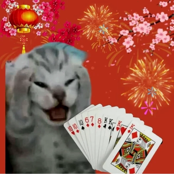 ảnh tết meme 2026 hài hước ảnh tết meme 2026 về mùa xuân