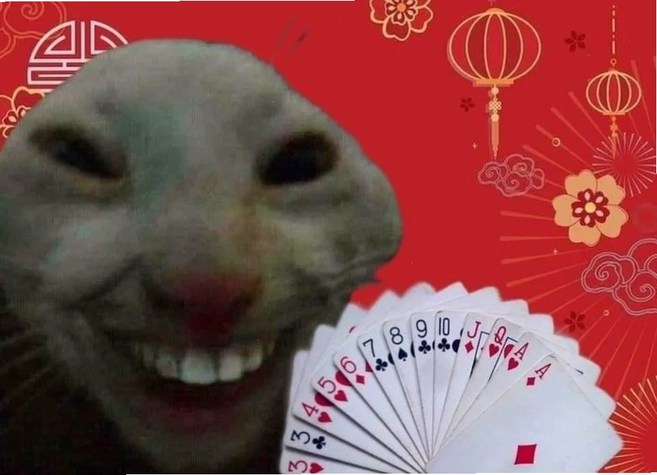 ảnh tết meme 2026 thú vị ảnh tết meme 2026 vui vẻ