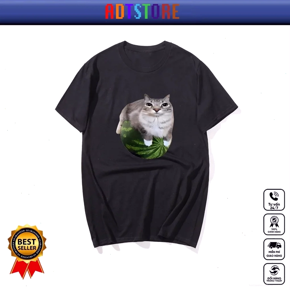 ao chình meme phân tích ao chình meme so sánh