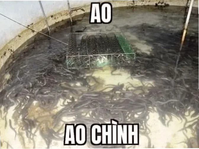 ao chình meme hài hước ao chình meme về kỹ năng game