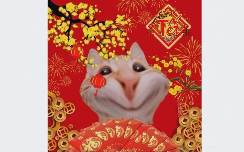 Avatar đoàn viên avatar meme tết đoàn viên