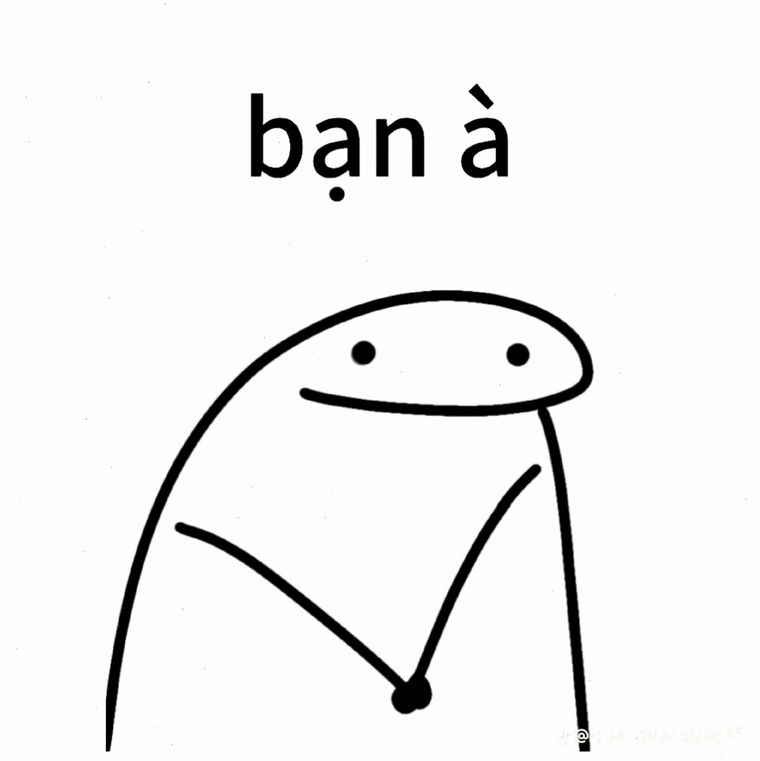 Avatar meme tết hình mèo avatar meme tết hình mèo đáng yêu
