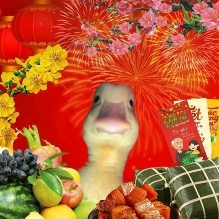 Avatar phượt tết avatar meme tết phượt thủ