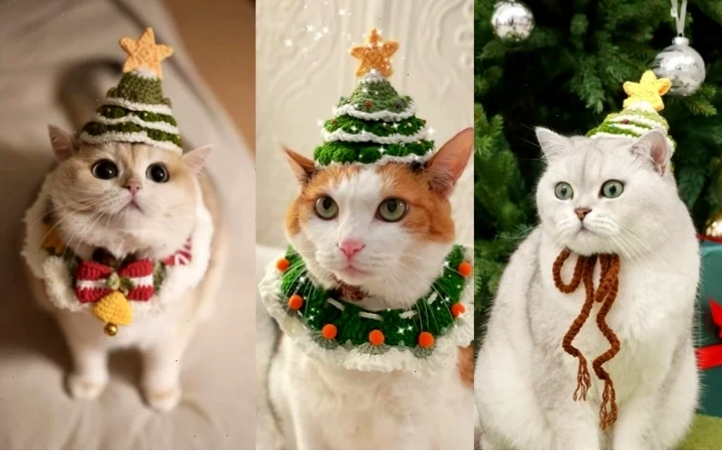 avatar mèo giáng sinh meme tinh nghịch avatar mèo giáng sinh meme tinh nghịch
