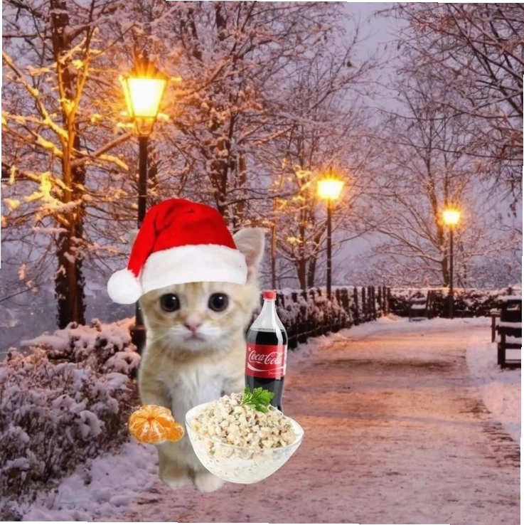 Avatar mèo cute Avatar mèo noel meme đội mũ
