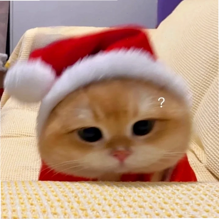 Avatar mèo tối giản Avatar mèo noel meme đơn giản