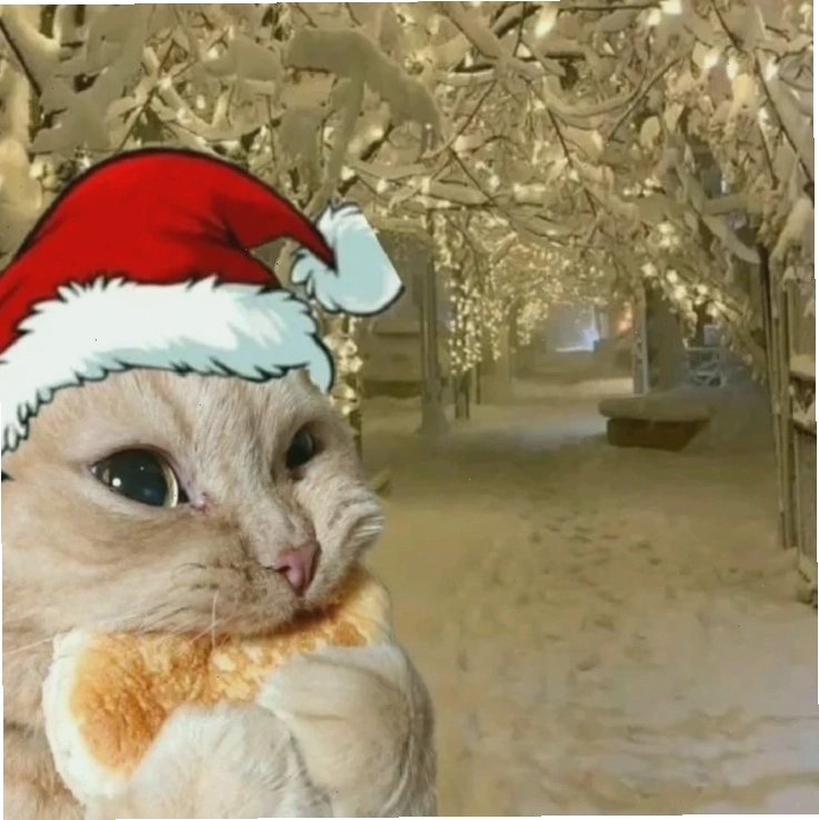 Avatar mèo đầy màu sắc Avatar mèo noel meme rực rỡ