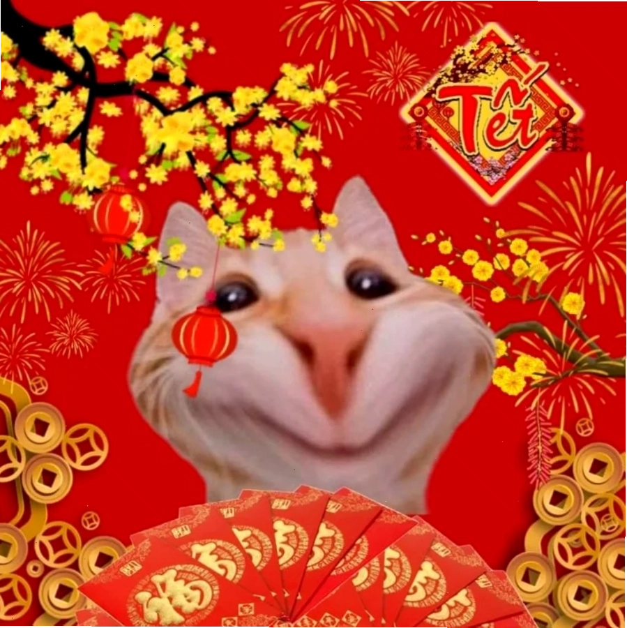 Avatar tết mèo ăn bánh chưng avatar tết meme mèo ăn bánh chưng