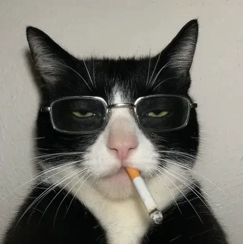 avatar vô tri hài hước meme avatar vô tri hài hước meme trên nền tảng số
