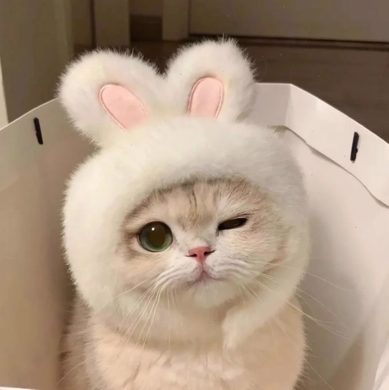 avatar vô tri hài hước meme avatar vô tri hài hước meme với chú thích bựa