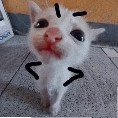 avatar vô tri meme chó avatar vô tri meme chó hài hước