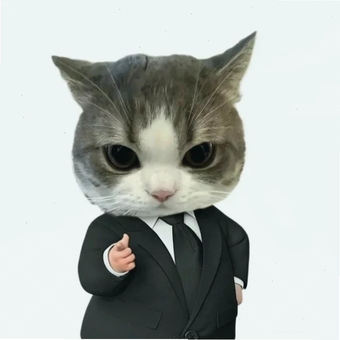 avatar vô tri meme đôi avatar vô tri meme đôi hài hước