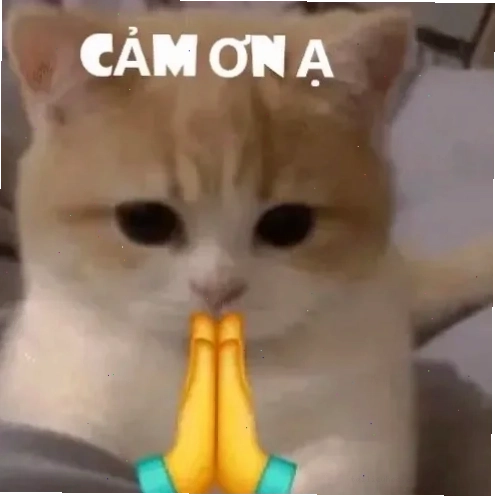 bạn thì kinh rồi meme bạn thì kinh rồi meme độc đáo