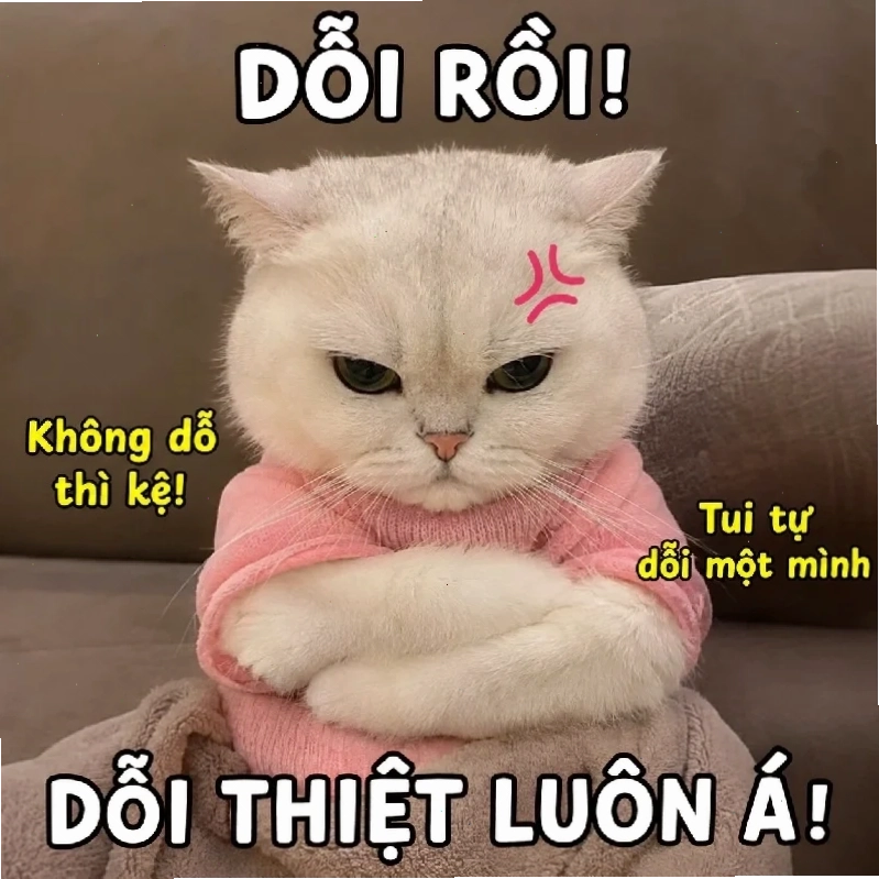 bạn thì kinh rồi meme bạn thì kinh rồi meme đơn giản