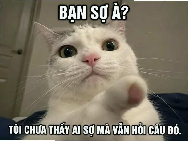 bạn thì kinh rồi meme bạn thì kinh rồi meme sáng tạo
