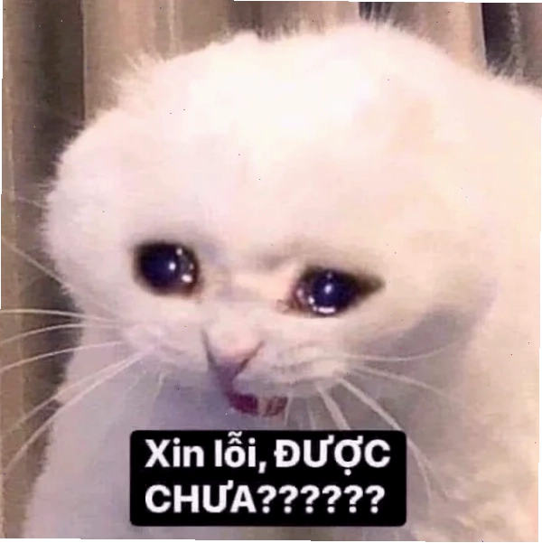 bạn thì kinh rồi meme bạn thì kinh rồi meme viral