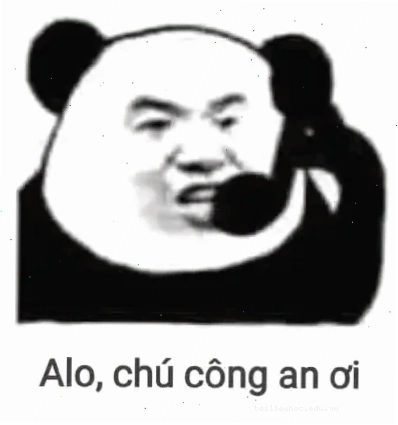 Mèo báo công an báo công an meme chú mèo gọi điện