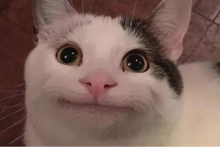 Meme kinh điển Bay màu meme kinh điển